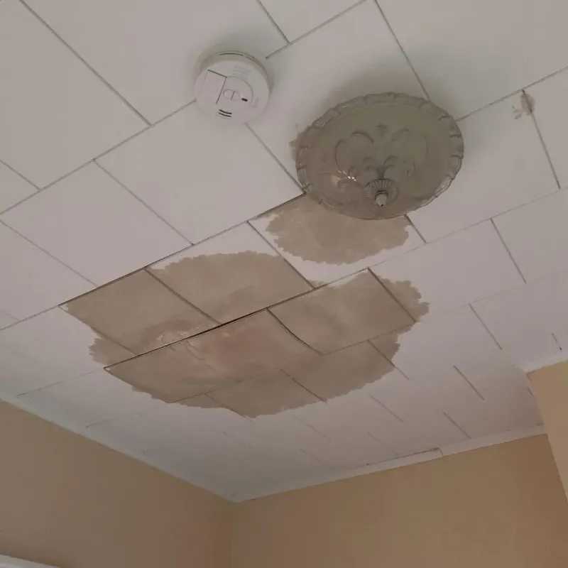 Ceiling Water Damage Repair in Greece, NY